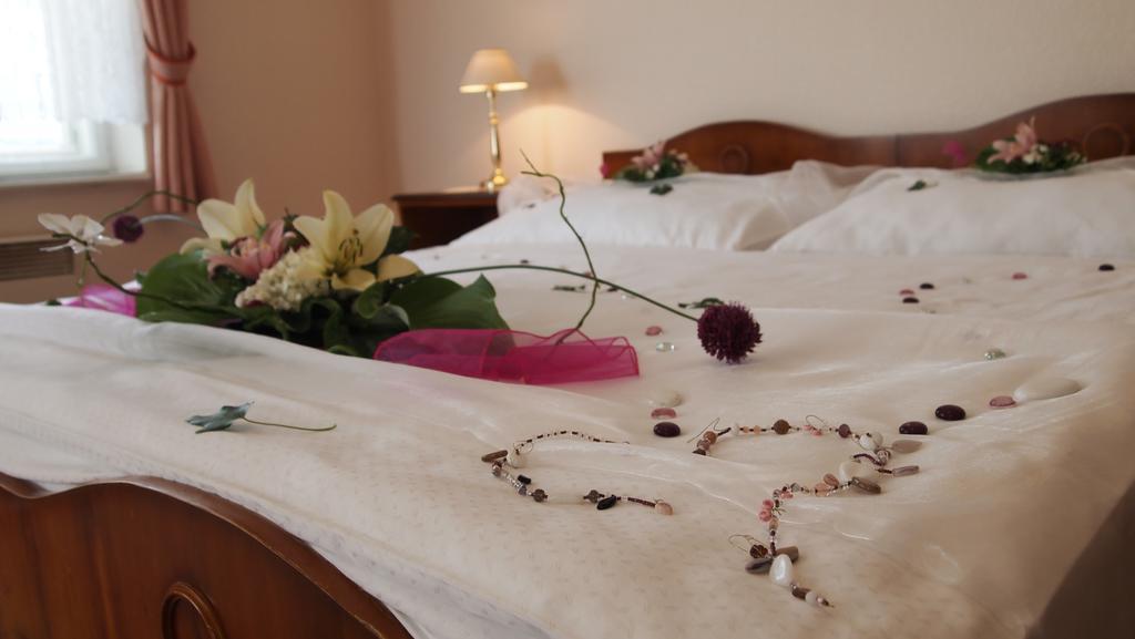 Pension Habermannova Vila Bludov  Ruang foto